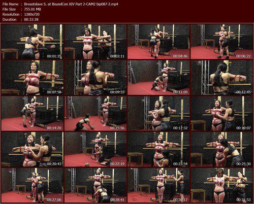 Breastslave%20S.%20at%20BoundCon%20XIV%20Part%202-CAM2%20bip087-2.t_m.jpg